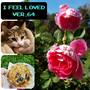 I Feel Loved ver.64 (Explicit)