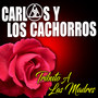 Tributo a las Madres