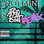 You're Not Mine (feat. James Barlow & Mickz) [Afrobeat Remix]