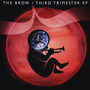 Third Trimester - EP (Explicit)