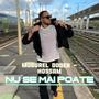 Nu se mai poate (feat. Hossam)