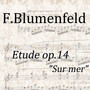 Etude, Op.14 