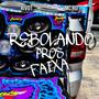 Rebolando pros meus faixa (eletrofunk) (feat. Mc RD) [Explicit]