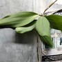 Kuingin kau tahu