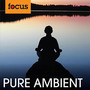 Pure Ambient