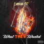 What They Wanted (Explicit)