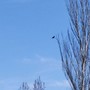 Мысленно