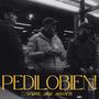 Pedilo bien (feat. Shakya & Dash & Punto) [Explicit]