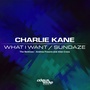 What I Want / Sundaze: The Remixes