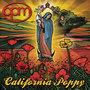 California Poppy (Explicit)