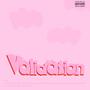 Validation (Explicit)