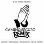 Camino Seguro (Remix)