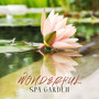 Wonderful Spa Garden: Spa Day Relaxation, Sauna Healing Practice