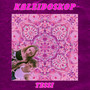 Kaleidoskop