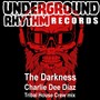 The Darkness (Tribal House Crew mix)