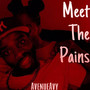 Meet The Pains (Explicit)