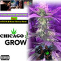 Chicago Grow (Explicit)