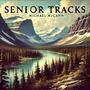 Senior Tracks