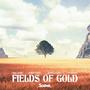 Fields Of Gold (feat. Kajot)