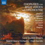 Choruses for Male Voices and Orchestra - Sibelius, J. / Debussy, D. / Strauss, R. / Bruckner, A. / Schubert, F. (Lunds Studentsangare)