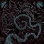 Umbilical Cord (Explicit)