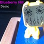 Blueberry Hill's Demo