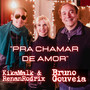 Pra Chamar de Amor (Radio Edit)