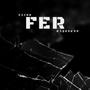 FER (Explicit)