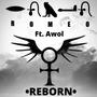 Reborn