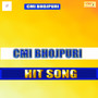 CMI BHOJPURI Hit Songs