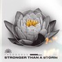 Stronger Than a Storm