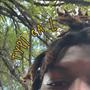 Typical (Explicit)