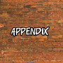 APPENDIX