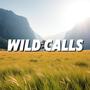 Wild Calls