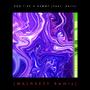 DON'T BE A DUMMY (feat. Kyle Cahill & Belis) [MALNEEZY Remix]