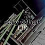 SAY WHAT (Explicit)