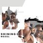 SHINING