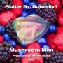Flutter By  Butterfly?