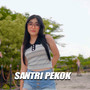 Santri Pekok