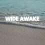 Wide Awake (feat. J. Vibes)