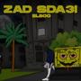 ZAD SDA3I