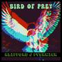 Bird of Prey (feat. Mike Kaye)