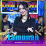 Lamunan