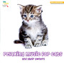 Relaxing Music for Cats - and Their Owners