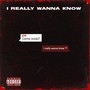 I Really Wanna Know (Explicit)