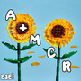 A+Mcr