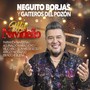 Mix Navideño: Parranda Navideña / Aguinaldo Maracucho / Viejo Año / Son Mis Deseos / Amigo / Noviazgo en Noche Buena (En Vivo) [feat. Endri Méndez, Adolfo Ochoa & José Leonardo Linares]