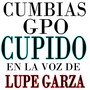 Cumbias en la Voz de Lupe Garza