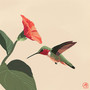 Hummingbird / Affogato
