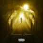 Forever Shine (feat. JayLadd) [Explicit]